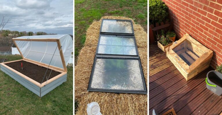 9 Cold Frame Setups Smart New York Gardeners Are Building This Weekend