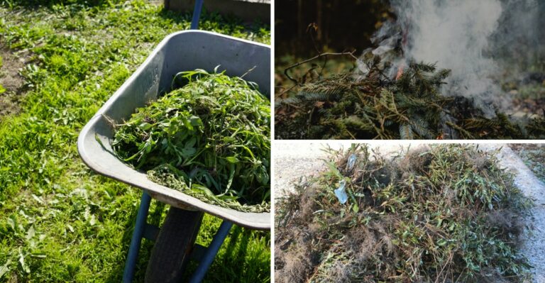 An Old-Fashioned Way To Clean Up The Yard Returns To 12 Alabama Counties In Just A Few Weeks
