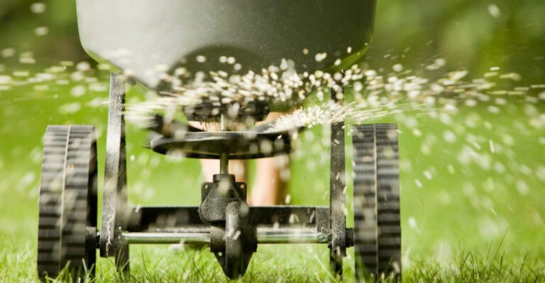 Should You Fertilize Your Ohio Lawn in September? This Is One Of The Times It Actually Makes Sense