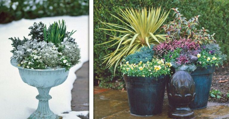Feeling the first cold nights, Wisconsin gardeners are wrapping these 8 containers to save the pots