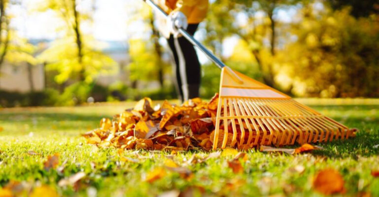 Don’t Rake Your Michigan Leaves Yet Until You Know What They Can Do For Your Garden