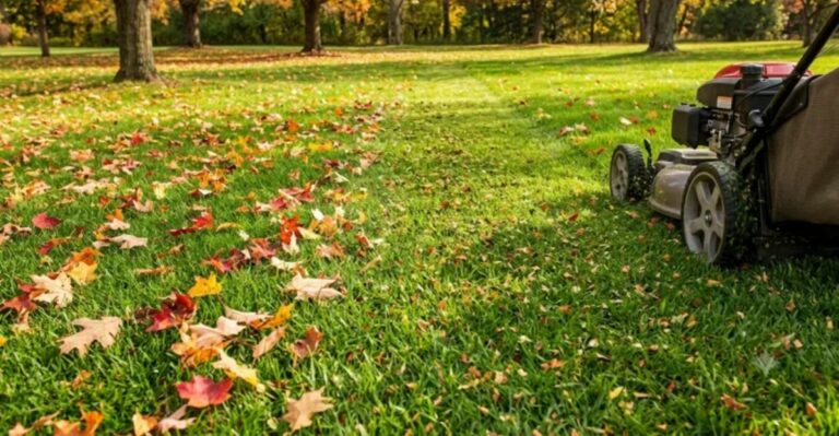 What Happens When You Mow Over Leaves On A North Carolina Lawn