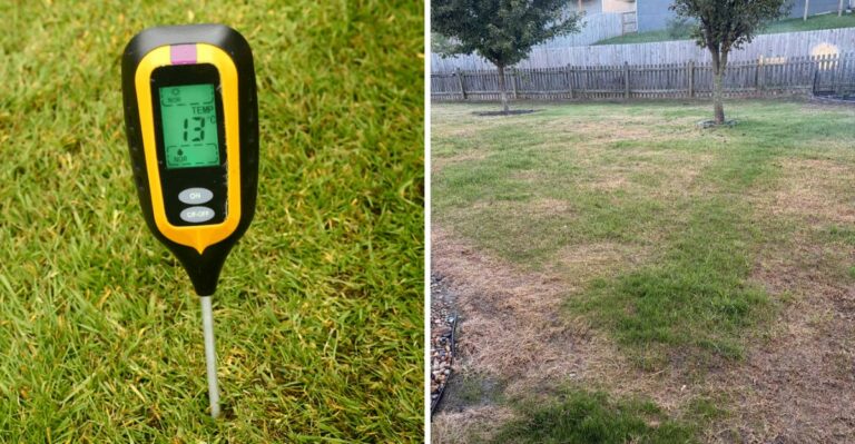 Can Your California Lawn Recover Before Winter If You Reseed Now?