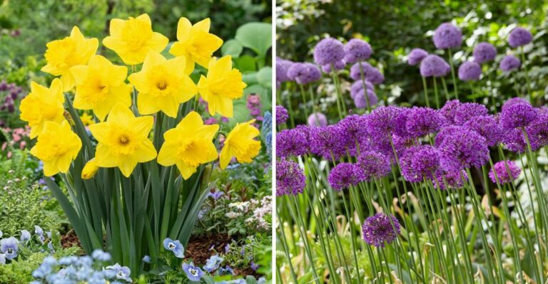 The Oregon Bulbs You Need To Plant Before The Ground Cools In October
