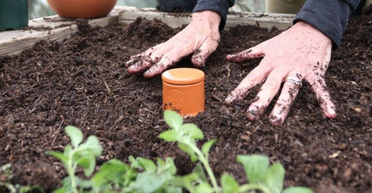 Why North Carolina Gardeners Are Using Ollas For Deeper More Efficient Watering