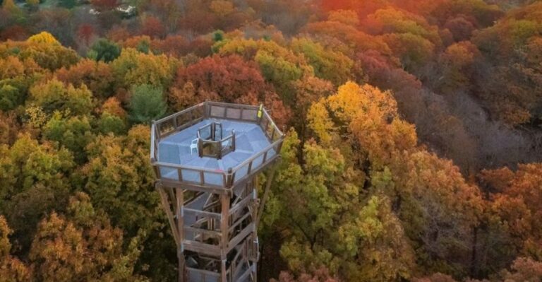 The Best Ohio Arboretums To See Peak Fall Color This October