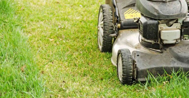 The September Lawn Mistake That Can Leave Bare Spots Next Spring In Ohio