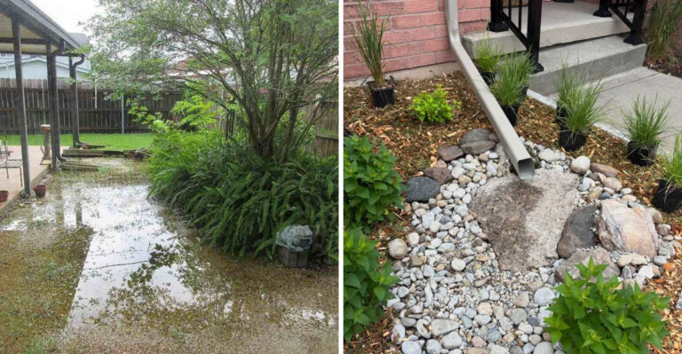 How Georgia Homeowners Are Using Rain Gardens To Handle Yard Flooding
