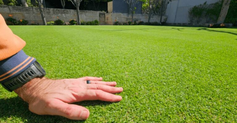Why Your Virginia Bermuda Lawn Needs A Different Fall Routine Than Fescue