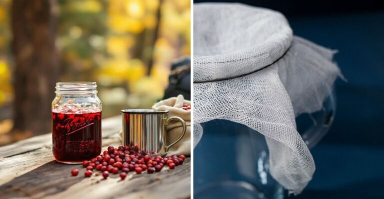 A Sweet Trend Is Coming To Minnesota Backyards This September