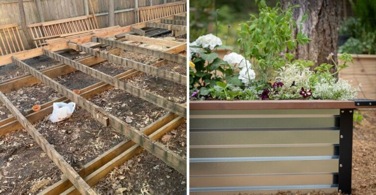 Why Old Pressure Treated Wood Can Be A Problem In Georgia Raised Beds