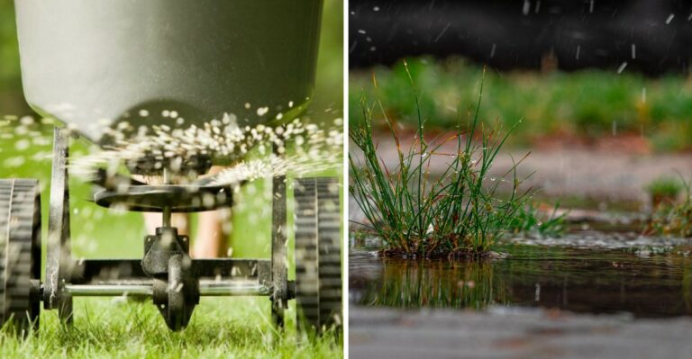 The Fall Lawn Job New Jersey Law Won’t Let You Do After Mid-November