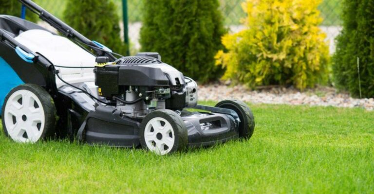 Should You Keep Mowing Your New York Lawn In October? Here’s When To Stop