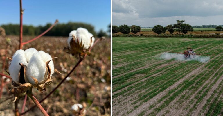 An Unfamiliar Scent Is Settling Over Mississippi Neighborhoods Right Now