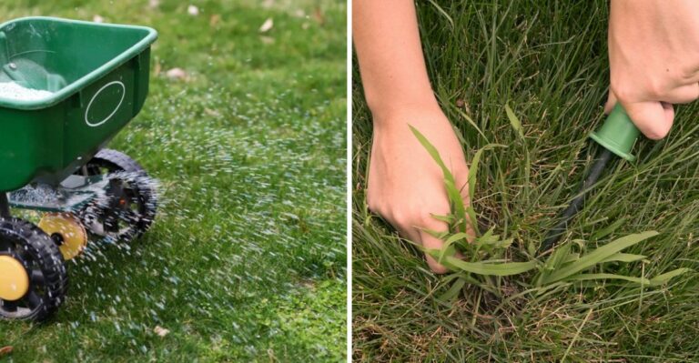 What Florida Lawns Need In Early October After A Brutal, Soggy Summer