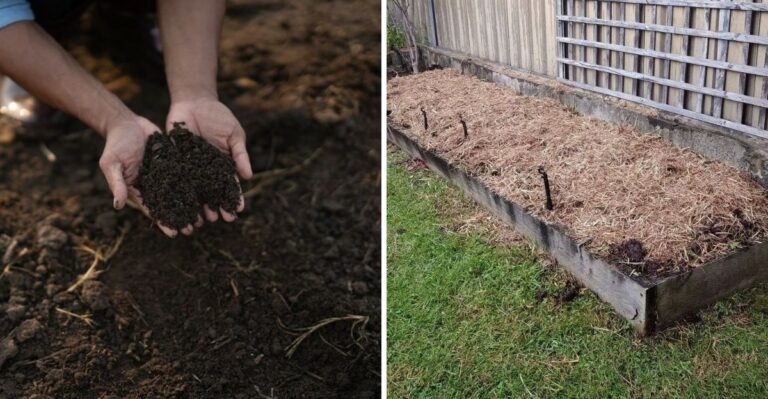 What North Carolina Soil Needs Before September Ends For Successful Spring Planting