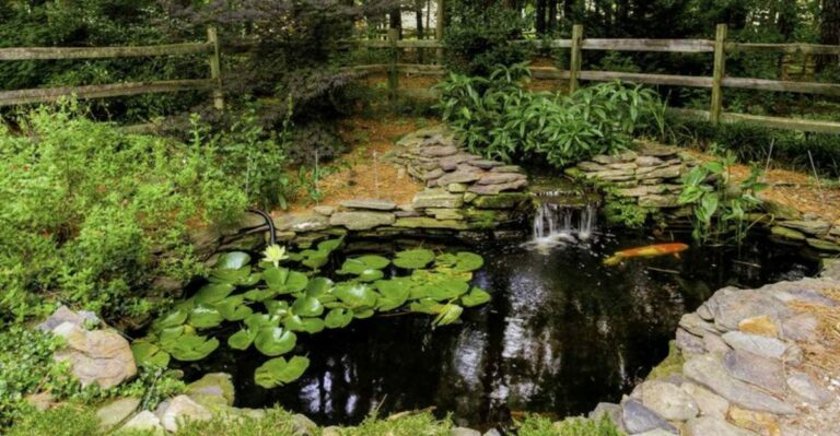 Everything Your Missouri Pond Needs Before Winter Hits