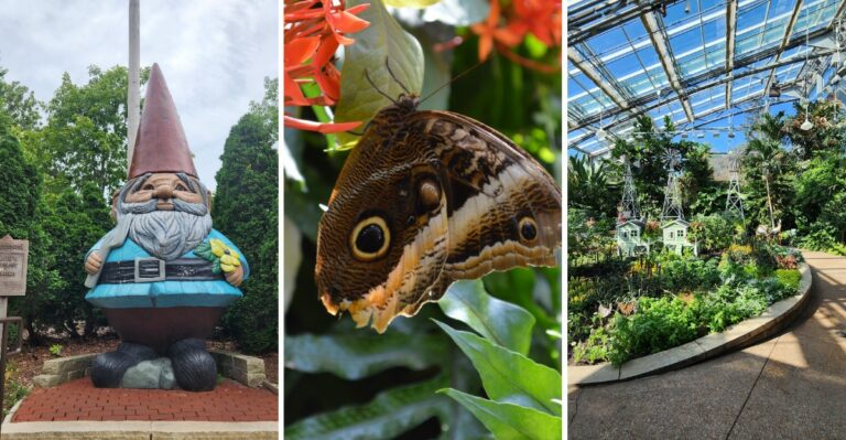 Iowa’s Most Photographed Fall Attraction Is Blooming At An Ames University Garden