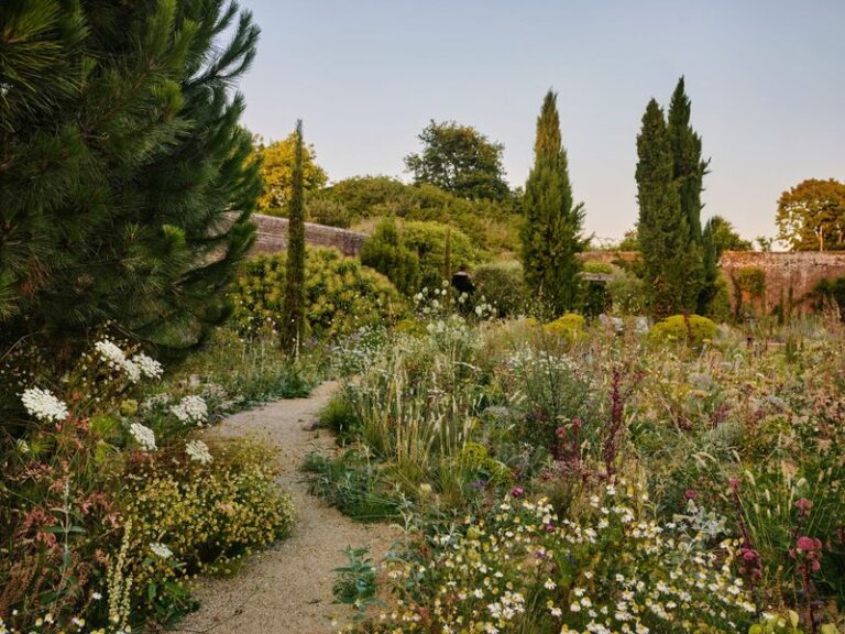 My garden looks tired and wild right now — and I’ve decided to let nature do her thing
