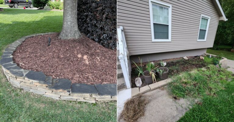 The September Mulching Mistake That Backfires In Windy California Conditions