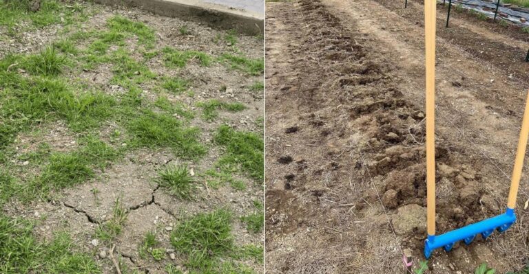 Why Oregon Garden Soil Becomes Hard After A Dry Summer