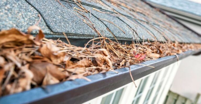Clogged Gutters Cause A Problem That Shows Up In Indiana Flower Beds Come Spring