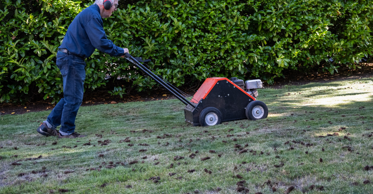 lawn aeration