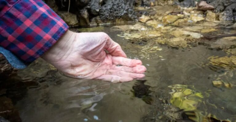 What It Means When Minnesota Lakes Turn Over And Bring Strange Smells To The Surface