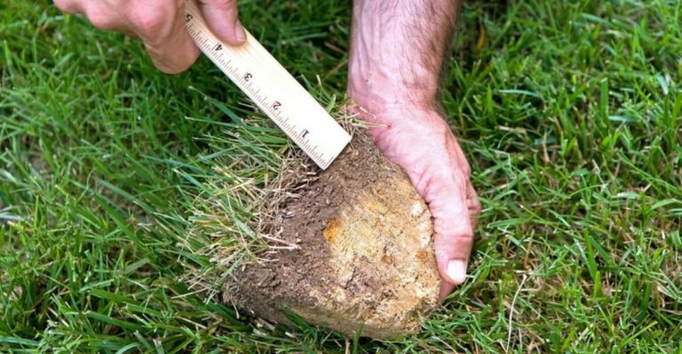 If Your Ohio Lawn Thatch Is More Than Half An Inch Thick, September Changes The Plan