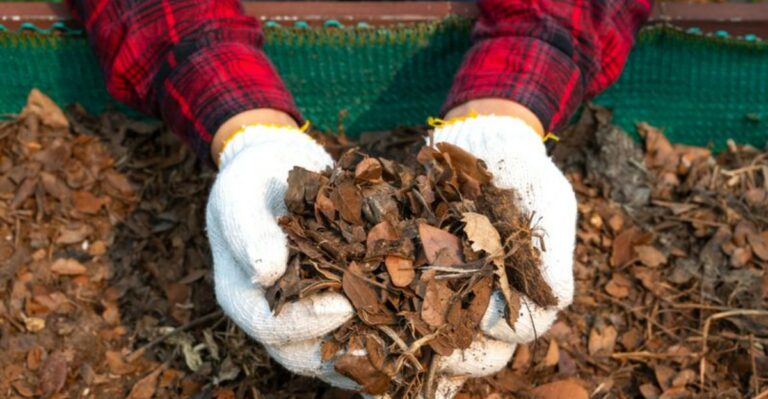 Missouri Compost Piles Need One Adjustment Before Cold Weather Sets In