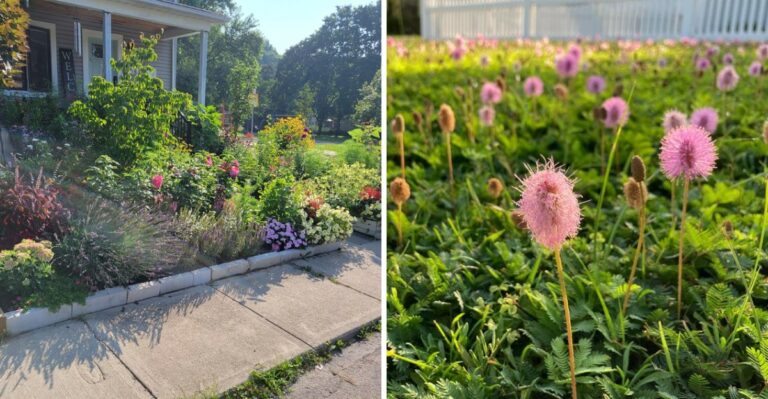 September Is The Perfect Time To Turn An HOA Yard Florida-Friendly – Start With These Small Changes