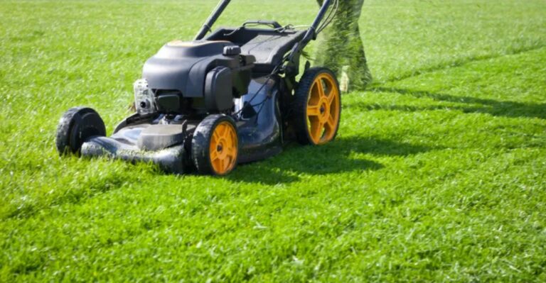 The September Mowing Height That Helps Florida St. Augustine Handle Stress Better