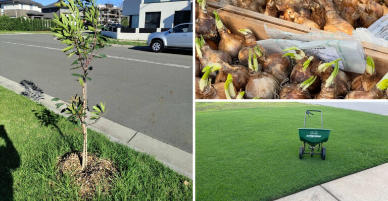 September Garden Tasks Every North Carolina Yard Needs
