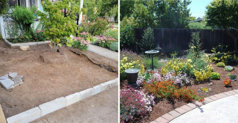 Before Replacing Your Florida Lawn This Fall, Check What Your HOA Can (And Can’t) Require