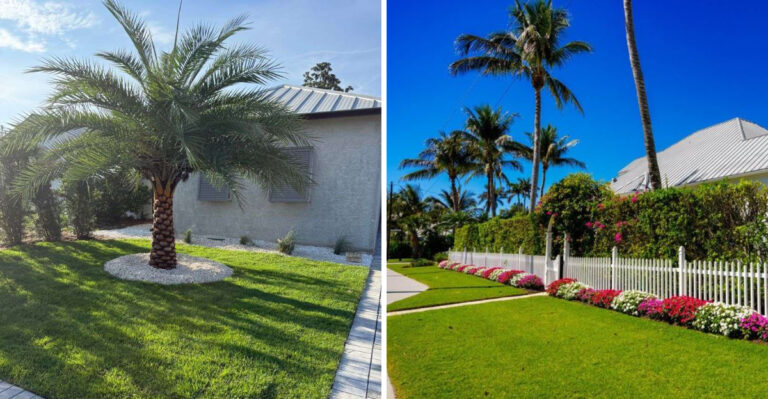 8 Reasons Why You Don’t Buy $500 Worth Of Fall Landscaping Until Your Florida HOA Approves The Plan
