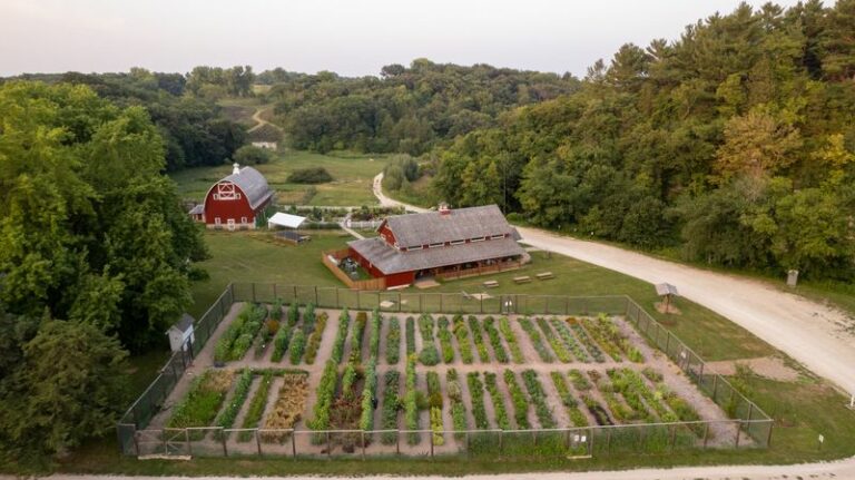 8 seed catalogs and heirloom picks Wisconsin gardeners plan over now for next year’s garden
