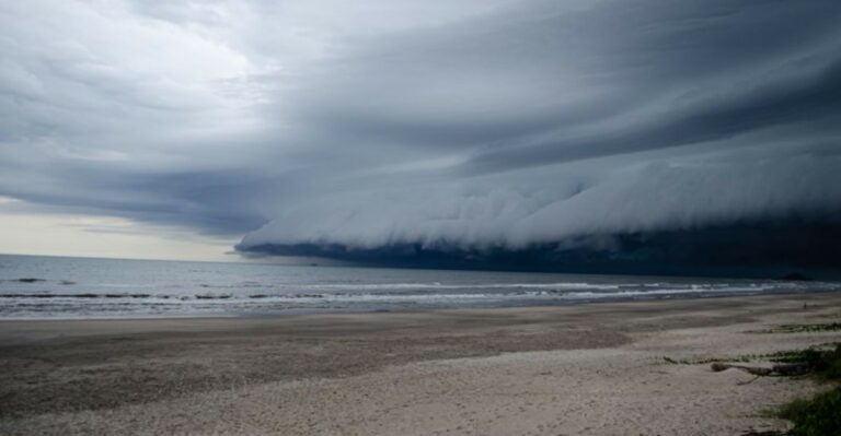 9 New York Coastal Yard Tasks To Finish Before Storm Season Peaks