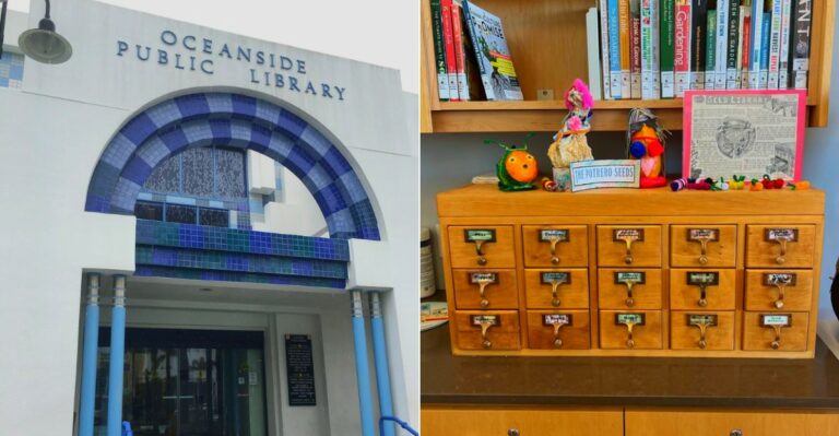 California Gardeners Can Pick Up Free Native Seeds At These Seed Libraries This Fall