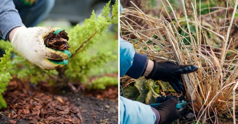 7 Things Pennsylvania Gardeners Should Do Before October