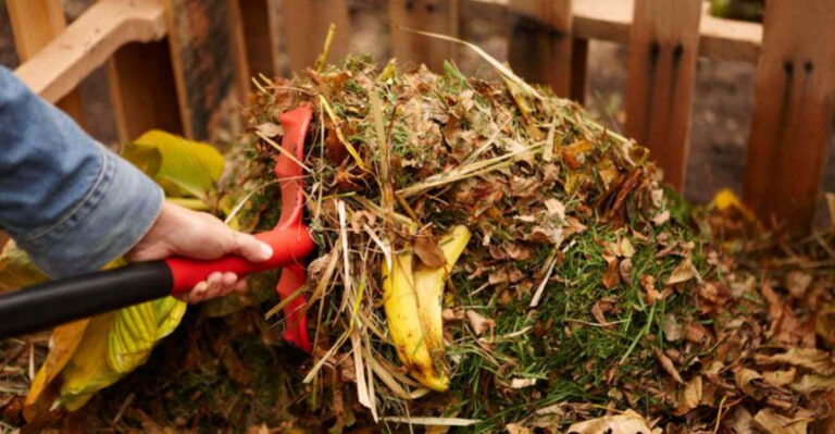Garden Tasks Michigan Gardeners Should Tackle This September