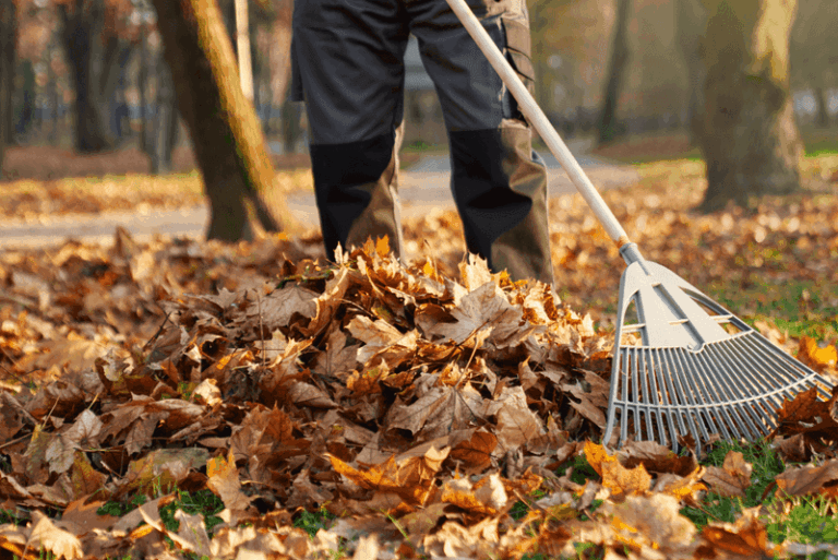 Don’t rake every leaf off the lawn — here’s the tidy-enough way Oregon gardeners keep the neighbors happy