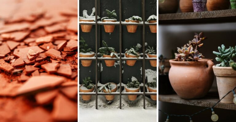 Why New York Gardeners Are Storing Terracotta Pots Before First Freeze