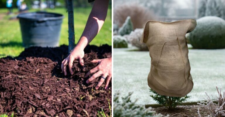 The New York Yard Jobs Worth Doing Before A Colder-Than-Normal Winter