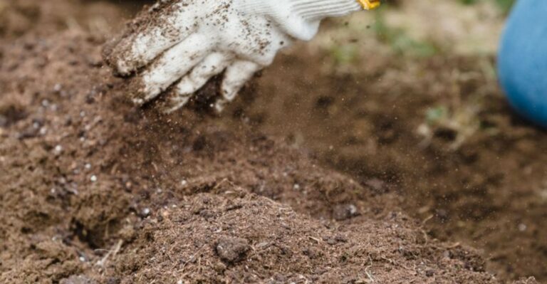8 Reasons September Is A Strong Month To Compost In Mississippi