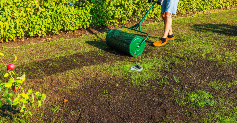 The Kentucky Lawn Repair Window That Closes Faster Than Most Homeowners Expect