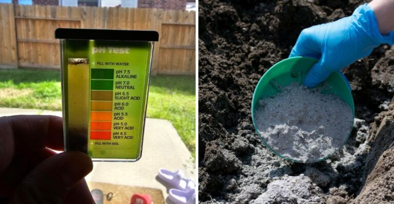 Why Michigan Gardeners Are Testing Soil Before Adding Wood Ash From Their Fire Pit