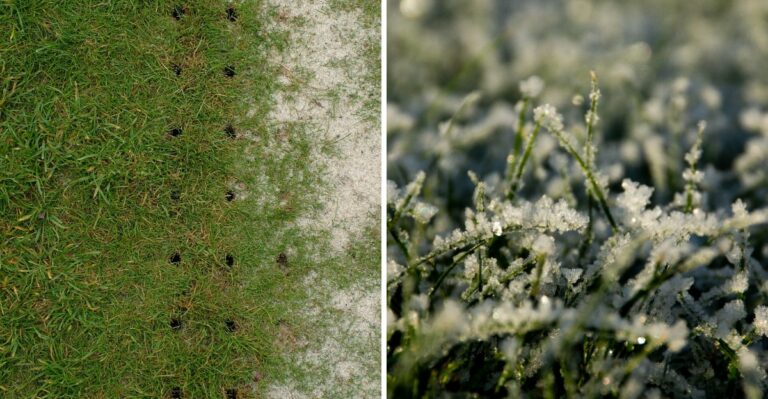 The Last Pennsylvania Lawn Tasks Before Cooler Weather Locks In