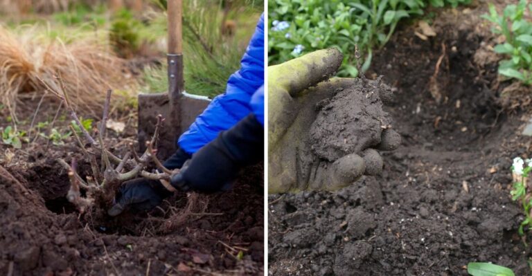 Common Mistakes Michigan Gardeners Make When Wrapping Up The Vegetable Garden