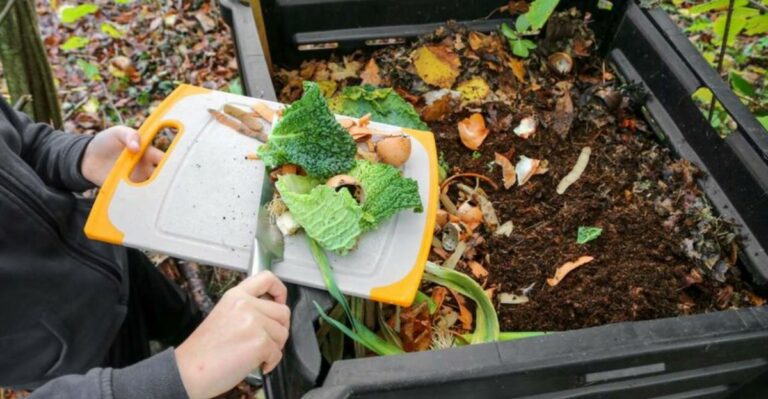 The Compost Mistake Michigan Gardeners Make That Attracts Rodents All Winter