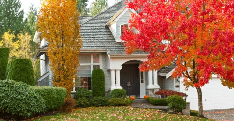 Why North Carolina Fall Foliage Will Look Uneven This Year And What It Means